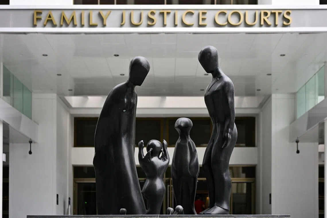 There were 337 spousal violence cases in 2025 where the victim was the husband, a 12% rise from the 302 in 2024.