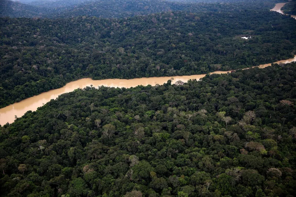 Brazil’s Amazon deforestation rate approaches a historic low