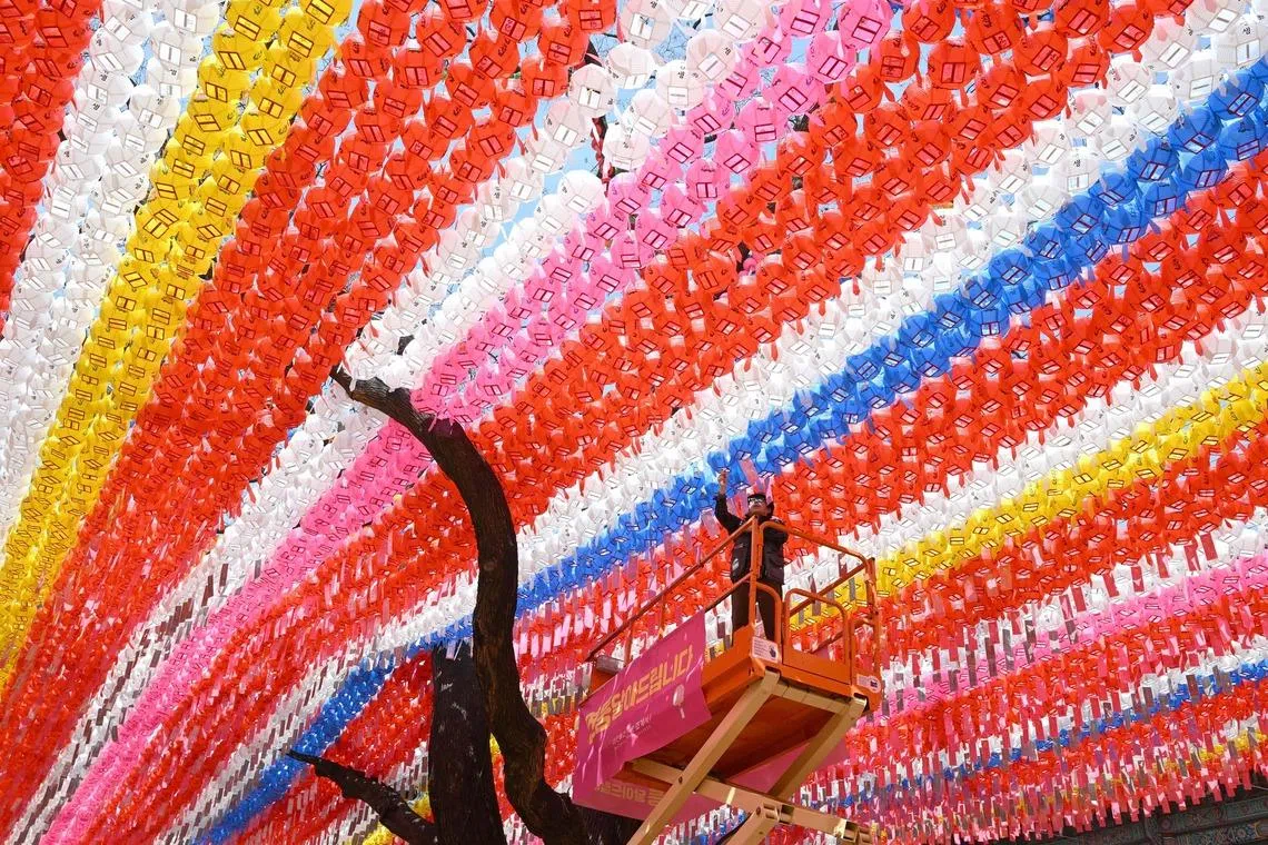 A temple worker attacheing name cards with wishes of Buddhist followers to lotus lanterns installed for the upcoming celebrations of Buddha's birthday at Jogyesa Temple in Seoul, South Korea on March 25, 2026. 
