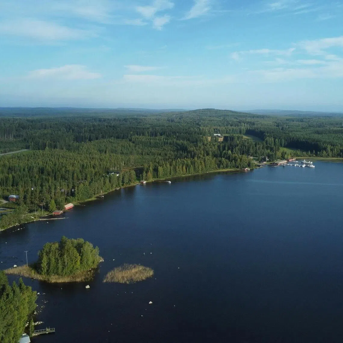 Former chief executive of berry company Polarica and his business associate recruited Thai workers to pick wild berries in Finland but misled them about earning opportunities and picking conditions.