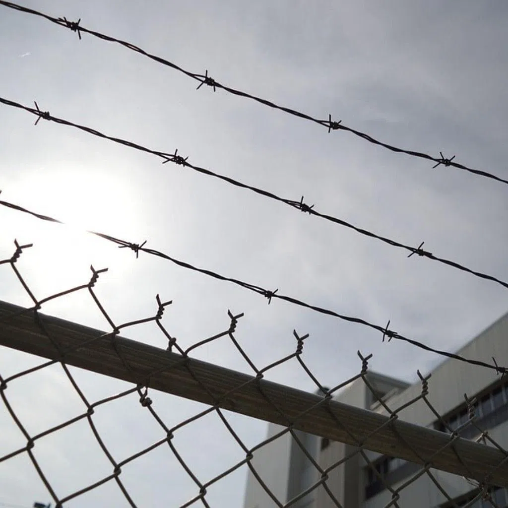 The figures from 2025 mark the second consecutive year Saudi Arabia has set a new record for executions.