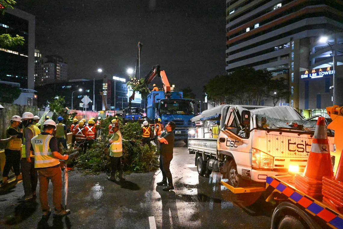 A fallen tree pinned down a lorry and a car (as seen in Jean Iau's video) along Ophir Road on Sep 21, 2023. The accident had caused three lanes to be blocked on Ophir Road at around 7pm. The lorry was towed away after 8.30pm.