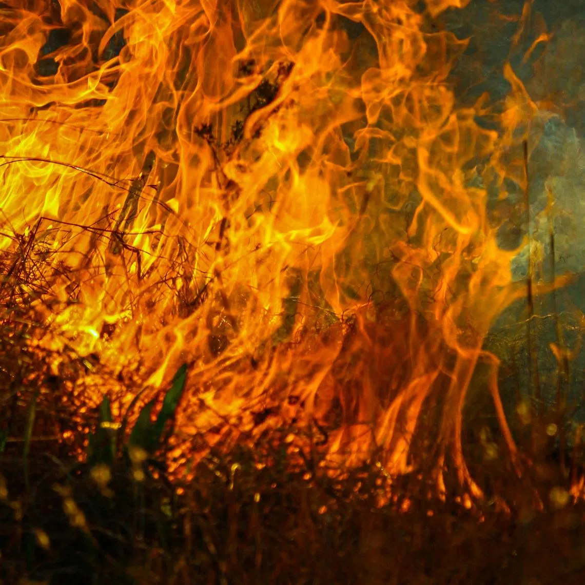 The fire broke out on May 27 in Babah Krueng village in Sawang district, where piles of logs and branches had accumulated along the banks of the Sawang River.