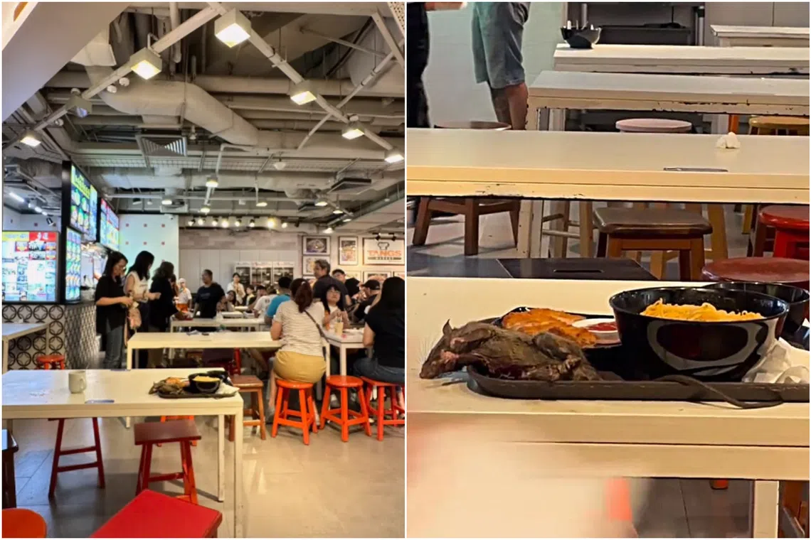 A video of a rat twitching on a food tray after it had fallen from the ceiling, was shared widely on social media.