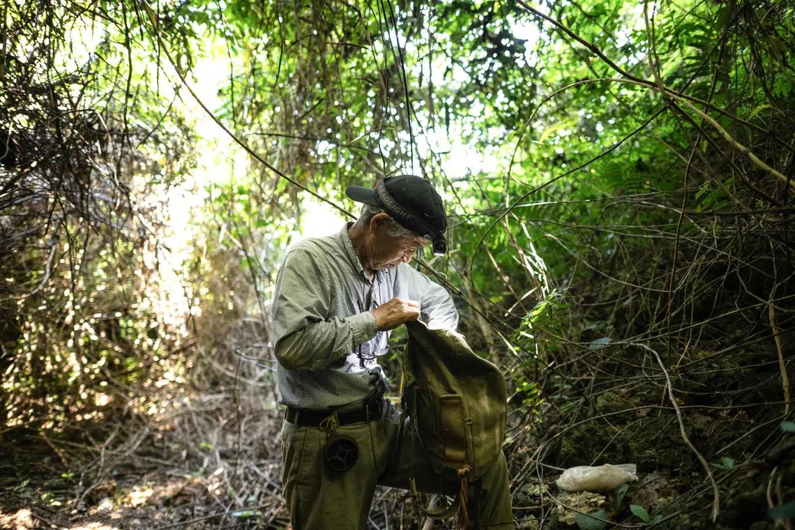 This photo taken on June 11, 2025 shows Takamatsu Gushiken, a volunteer who recovers the remains of war dead to be reunited with their families, searching for the remains of those who died in the Battle of Okinawa during World War II, at a forest in Itoman, Okinawa Prefecture. 