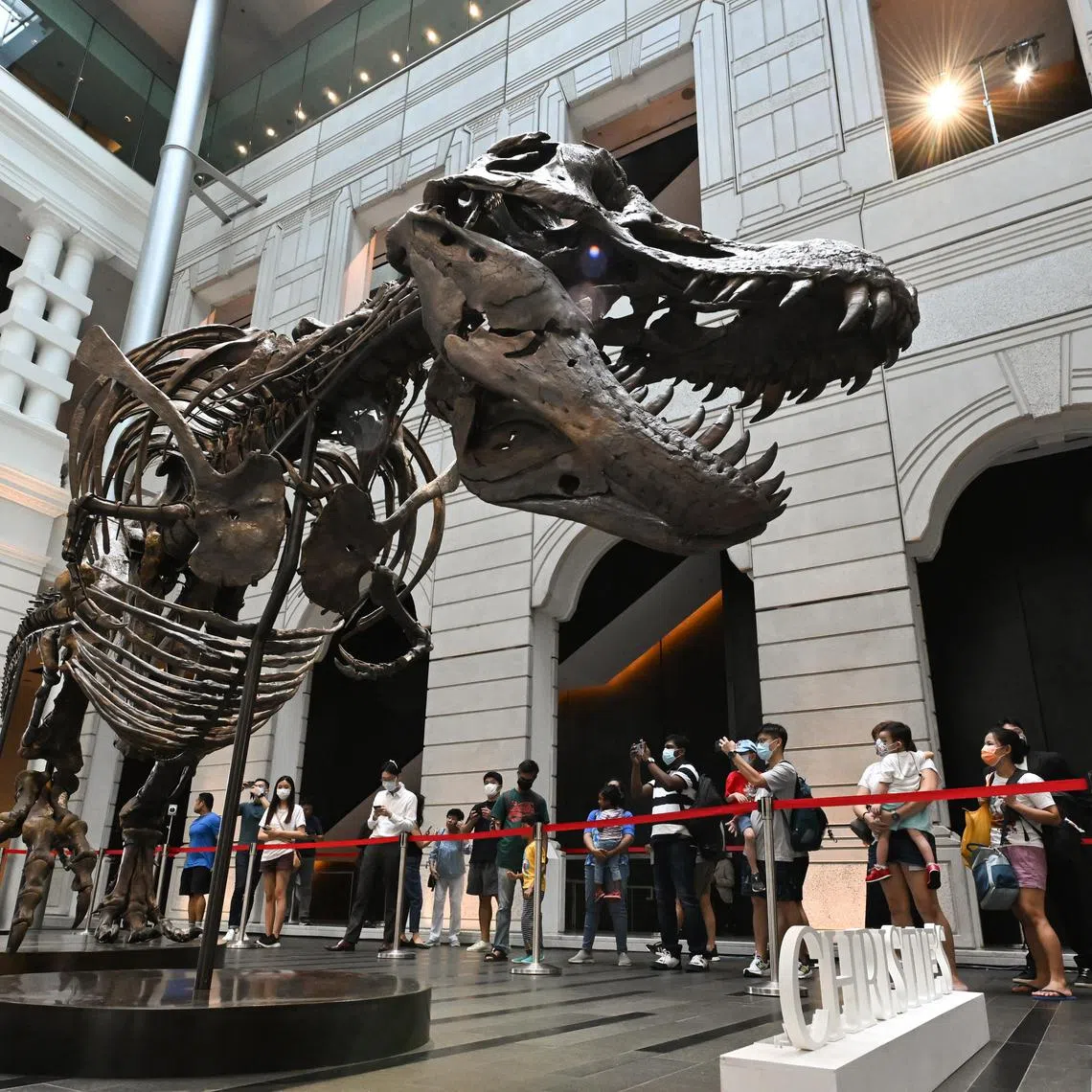 Shen the T-Rex on display at the Victoria Theatre and Concert Hall on Oct 28, 2022. 