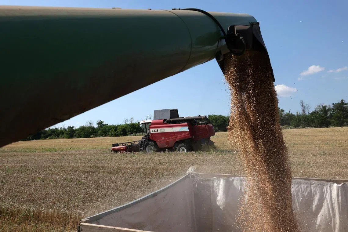 Ukrainian grain imports have been blamed by neighbouring countries for a slump in prices on local markets.
