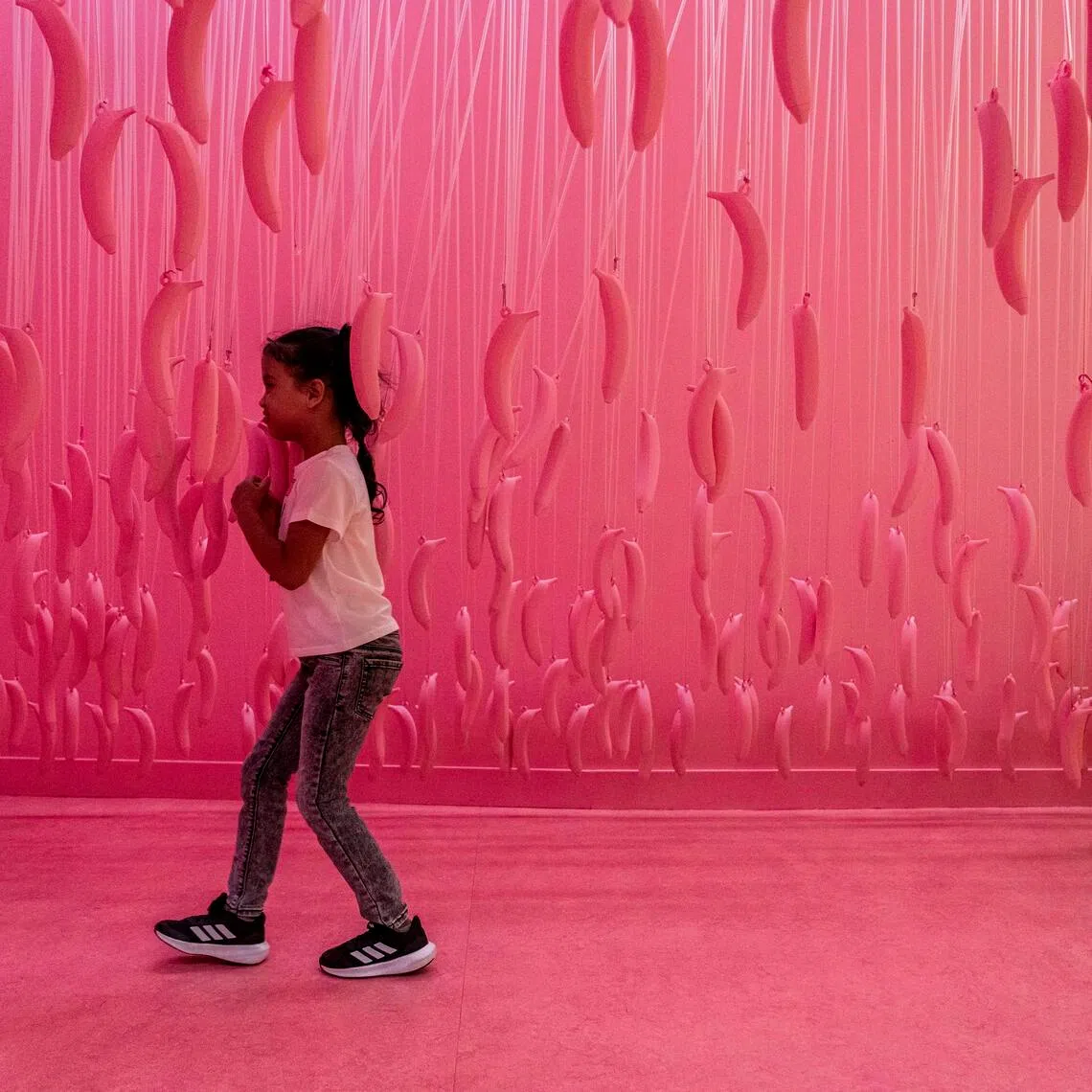 Despite its name, the Museum of Ice Cream, a for-profit amusement centre, has more in common with entertainment restaurant chain Chuck E. Cheese than an educational institution.