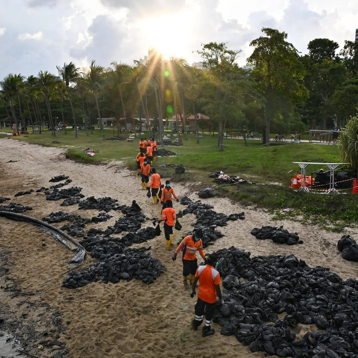 ST20240619-202441031295-Lim Yaohui-Carmen Sin-csoil23/
Workers forming a human chain to transfer bags of oil-stained sand for disposal near Siglap Canal at East Coast Park at 6.20pm on June 19, 2024.
Colour piece on volunteers, workers and beach lovers' response to the oil spill event. what they are doing etc. to bring across the deep feeling towards marine life and spaces in Singapore. Oil spill occurred after one vessel allided with another at the Pasir Panjang Terminal on June 14.
The incident involved the Netherlands-flagged dredging boat Vox Maxima and the Singapore-flagged bunker vessel Marine Honour, which was stationary, the Maritime and Port Authority of Singapore (MPA) said in a statement.
(ST PHOTO: LIM YAOHUI)
