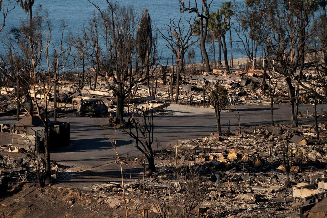 A view shows the remains of homes burned by the Palisades fire. Evacuees have been scrambling to find temporary shelter in the aftermath.