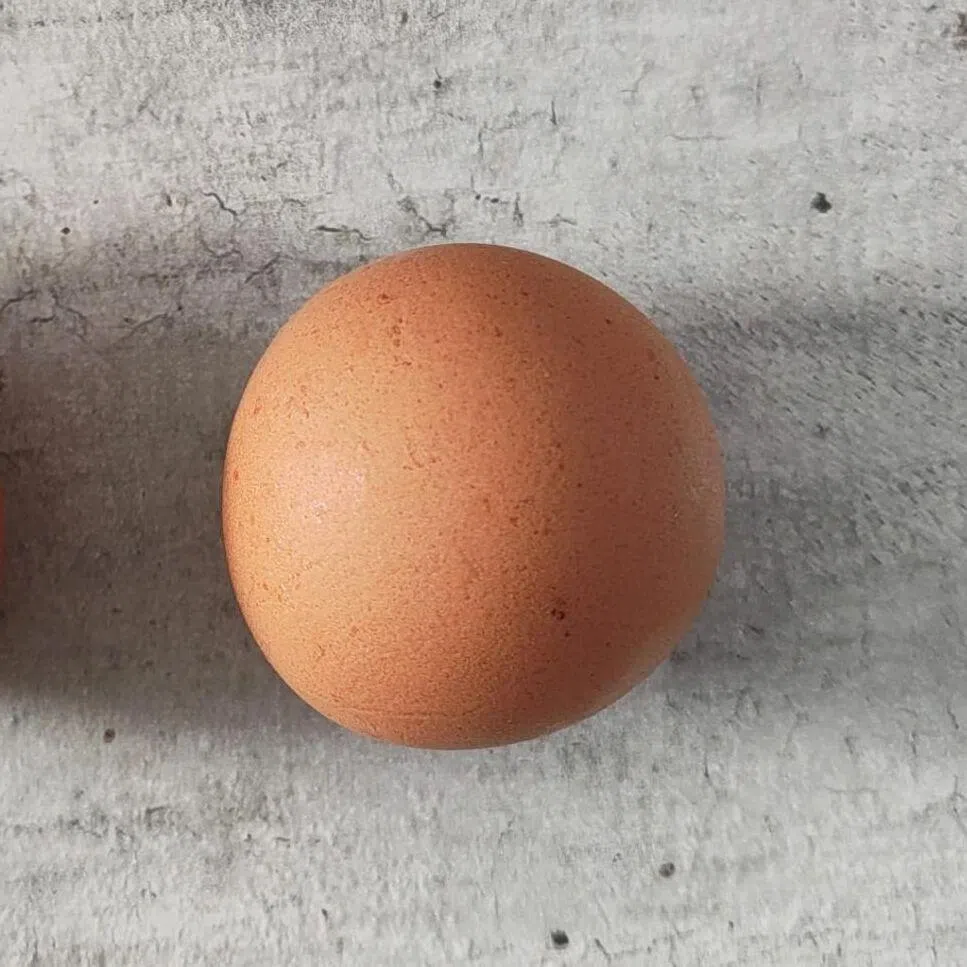 The family is hoping to sell off the rare egg “if the price is right”.
