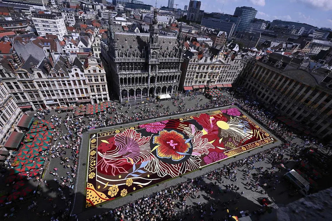 TOPSHOT - A general view shows a flower carpet at the Grand-Place during the 23rd edition of the Brussels' Flower Carpet show, in Brussels on August 15, 2024. The 23rd Brussels' Flower Carpet show will run from August 15 to 18, 2024. (Photo by JOHN THYS / AFP)