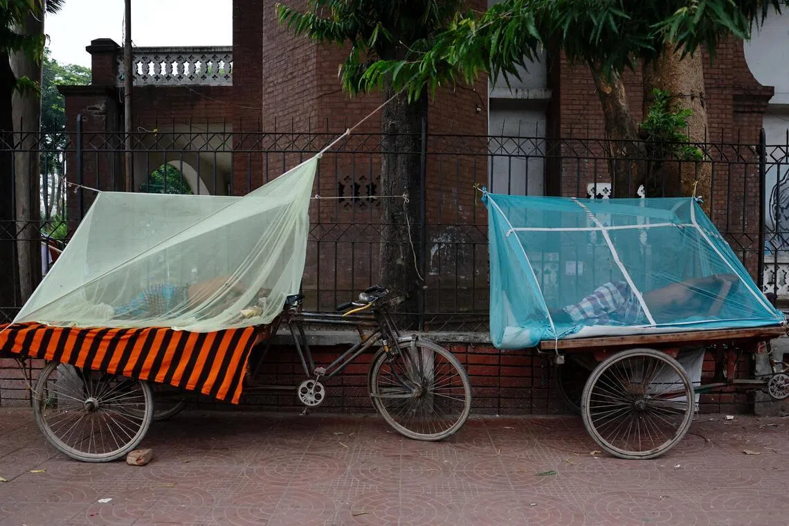 The spread of dengue fever in Bangladesh has accelerated in recent weeks.