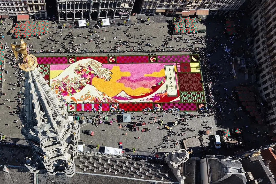 epa13166117 A picture taken with a drone shows thousands of dahlias arranged to form the 24th edition of the Brussels Flower Carpet on the Grand Place in Brussels, Belgium, 13 August 2026. Composed of more than 500,000 dahlias across a 1,680-square-meter display, this year's design is inspired by Japanese artist Katsushika Hokusai's iconic woodblock print 'The Great Wave off Kanagawa' to celebrate 160 years of diplomatic relations between Belgium and Japan, and remains on display through 16 August. EPA/OLIVIER HOSLET