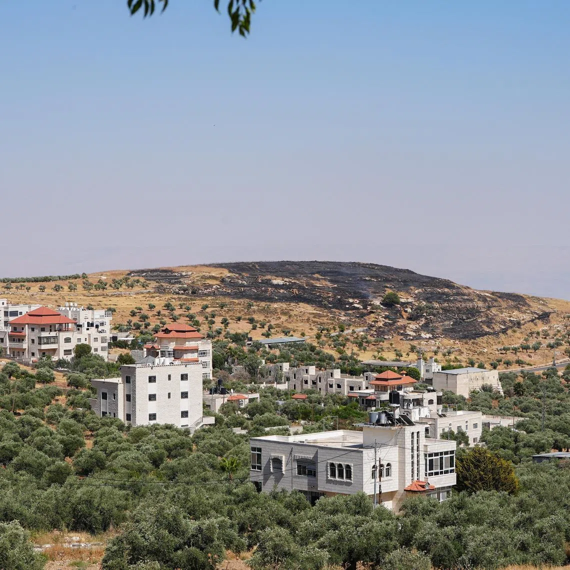 A burned hilltop near the Christian Taybeh village in the Israeli-occupied West Bank, June 10, 2026. REUTERS/Ali Sawafta