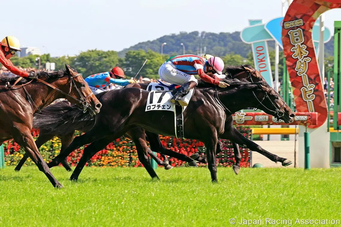 Lovcen (Kohei Matsuyama) lunging late to defeat Peintre Naif (Christophe Lemaire) by a head in the Grade 1 Tokyo Yushun (2,400m) in Tokyo on May 31.

PHOTO: JAPAN RACING ASSOCIATION