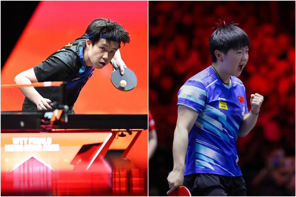 Wang Chuqin and Sun Yingsha among table tennis stars returning for Singapore Smash