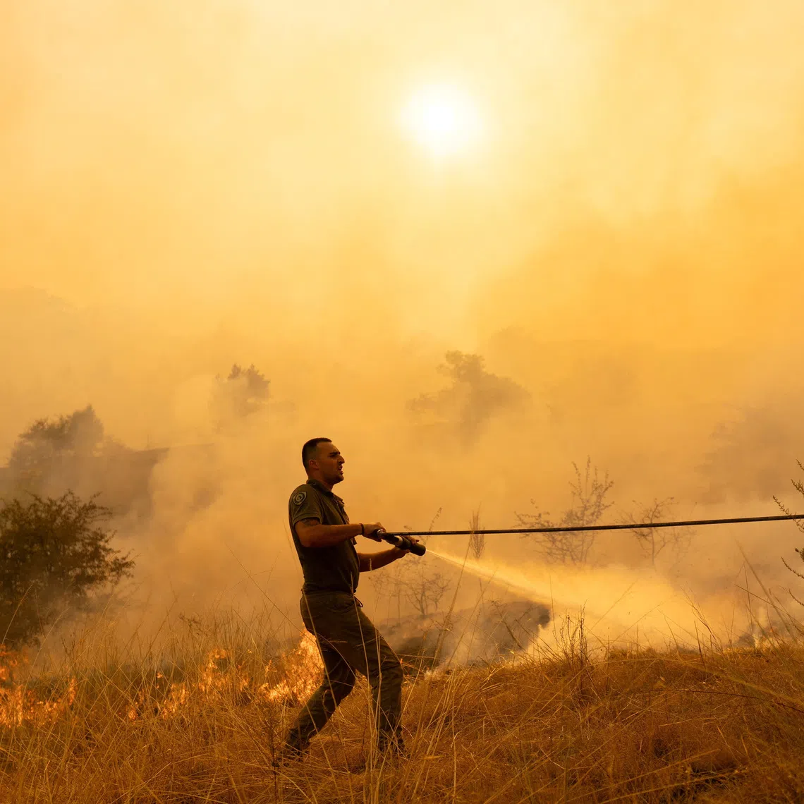 A man battles a wildfire in Grebenac, near Deliblatska Pescara, Serbia, August 21, 2026.  REUTERS/Uros Arsic