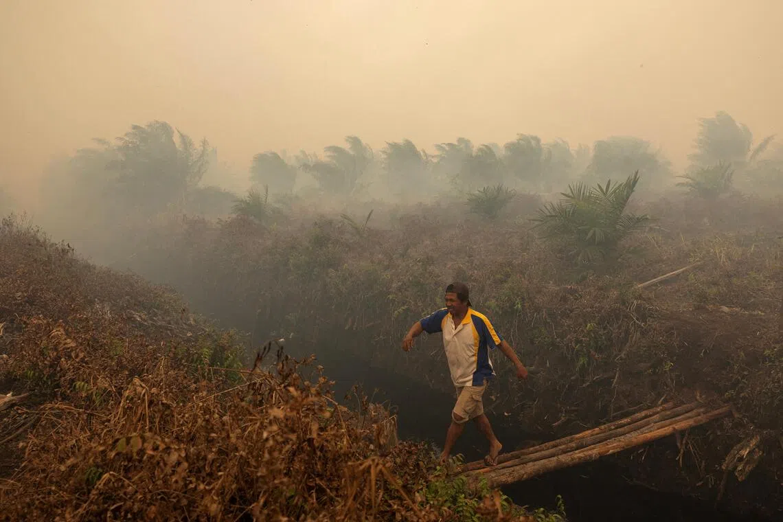 The report identified plantation concessions associated with the three companies where fires and smoke were detected between August and September.