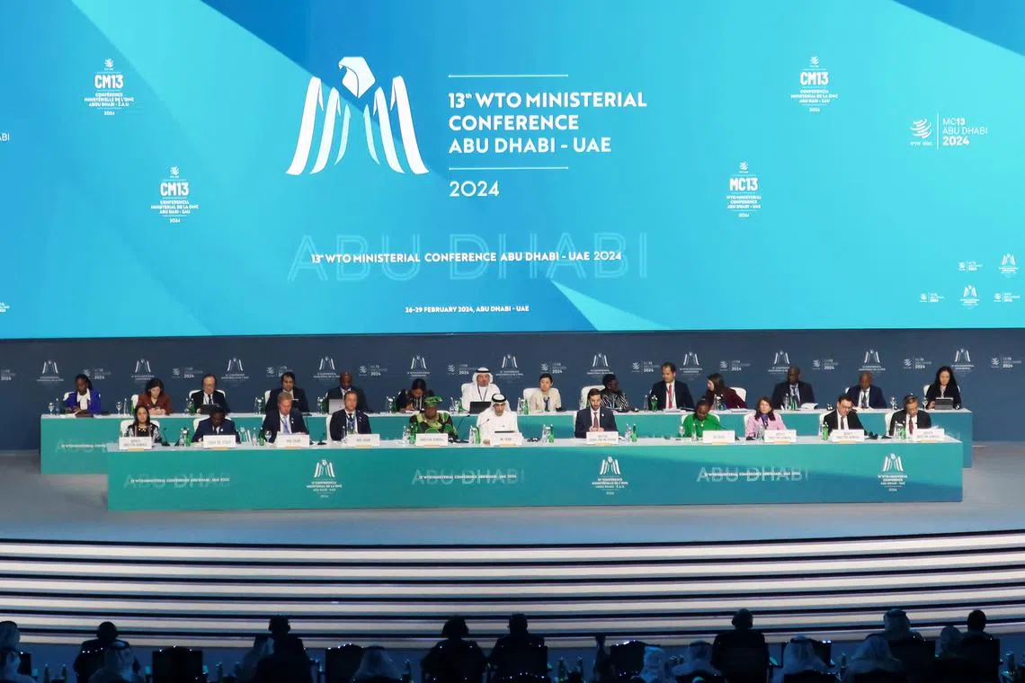 Delegates attend the 13th WTO ministerial conference in Abu Dhabi.