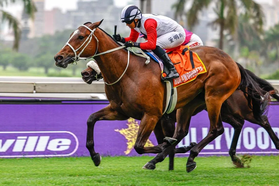 S. African trainer Louis Goosen dreaming big for Erik Dubois