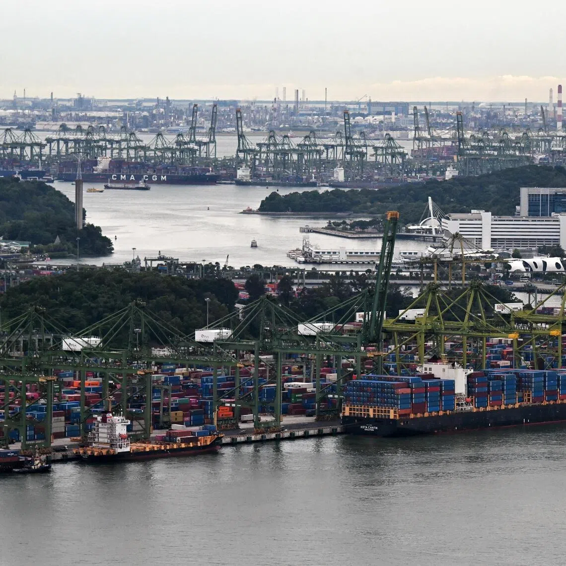 Experts say that similar patterns were observed during the same period in 2025.