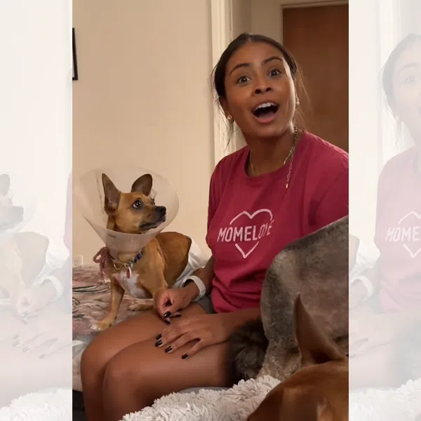 This TikTok screenshot shows the moment Ms Monica Matute realised her Chihuahua Nacho speaks Spanish instead of English.
