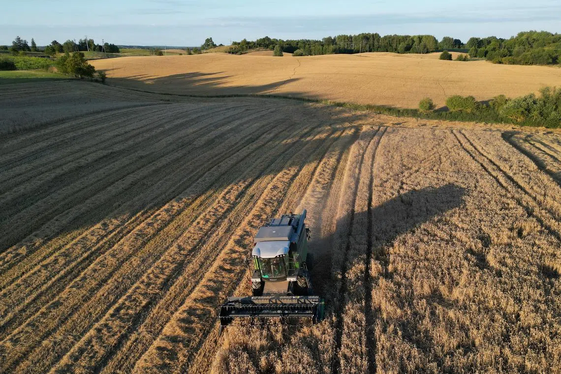 Poland, Hungary and Slovakia have extended a ban on Ukrainian grain imports, to protect their own farmers.