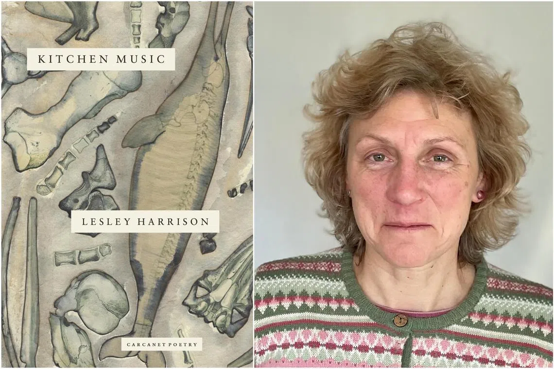  Kitchen Music by Lesley Harrison.