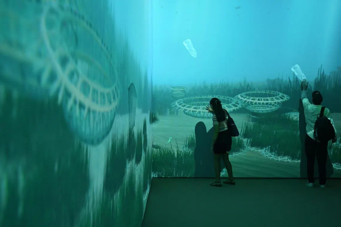 Visitors can learn about seagrass restoration in an interactive activity in the final zone of the exhibition.