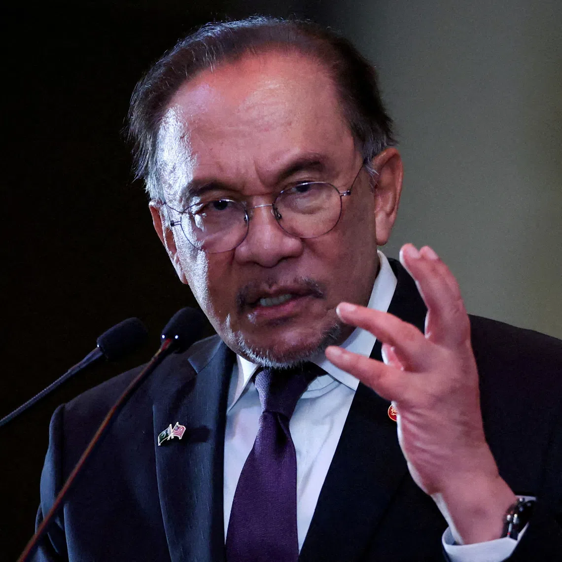 Malaysian PM Anwar Ibrahim insisted that “the Malay language must be elevated as the language of knowledge that is mastered by all Malaysians”.