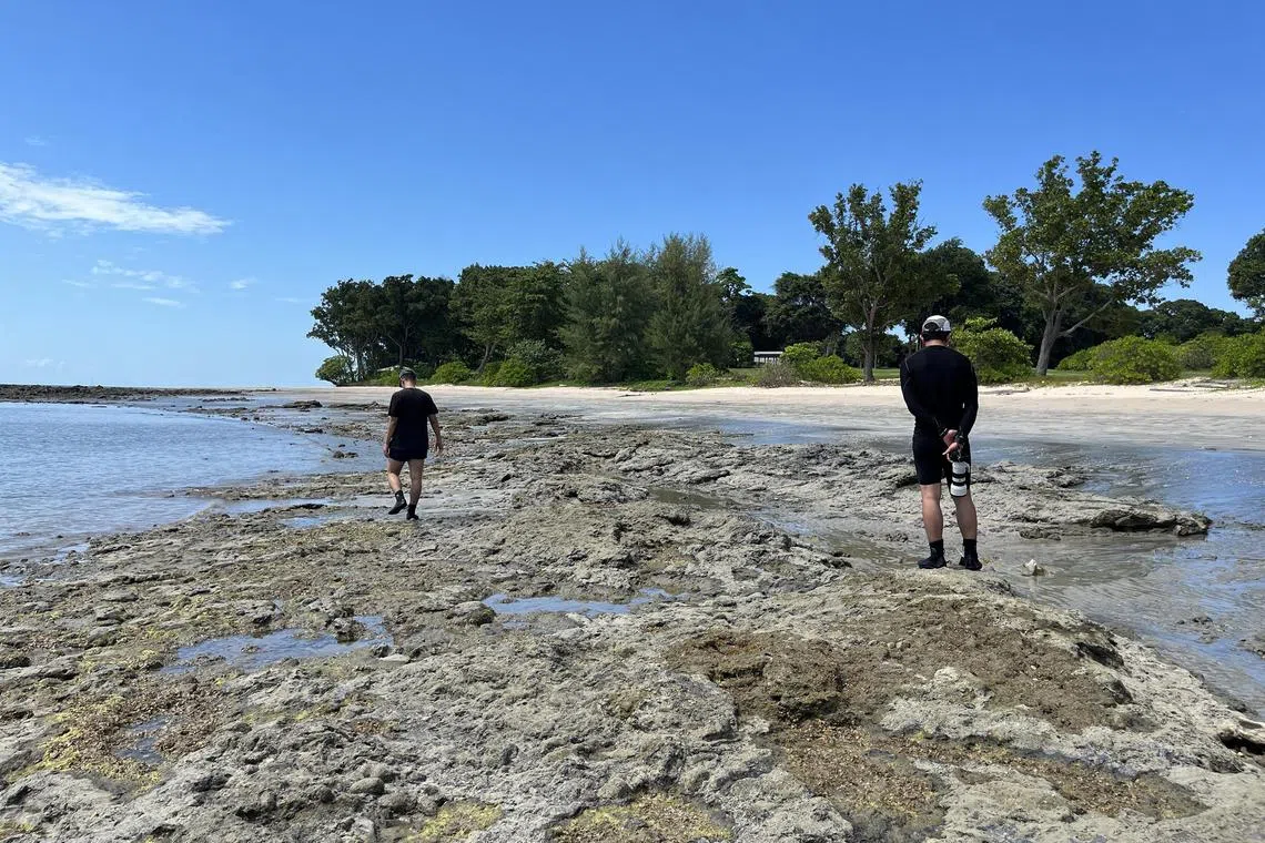 aadesaru26 - My sons exploring the half kilometer intertidal zone East of Anantara and bordering the Els Club golf course.