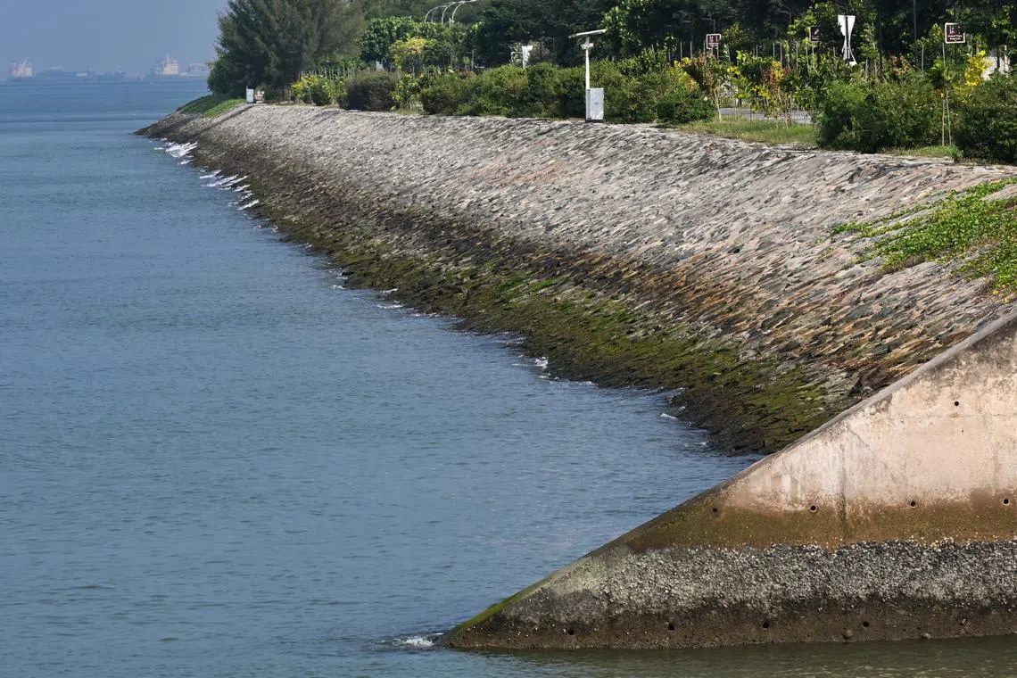 No oil seen in the waters next to Changi Bay Park Connector near Changi Exhibition Centre on Oct 29.