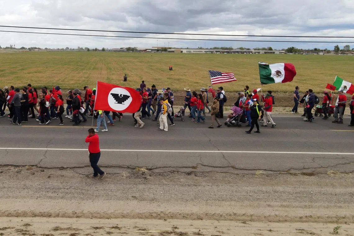 FILE PHOTO: A drone view shows supporters of farm labor unions during a march to mark Cesar Chavez Day and to protest against mass migrant deportation policies, in Delano, California, U.S. March 31, 2025.  REUTERS/David Swanson/File Photo