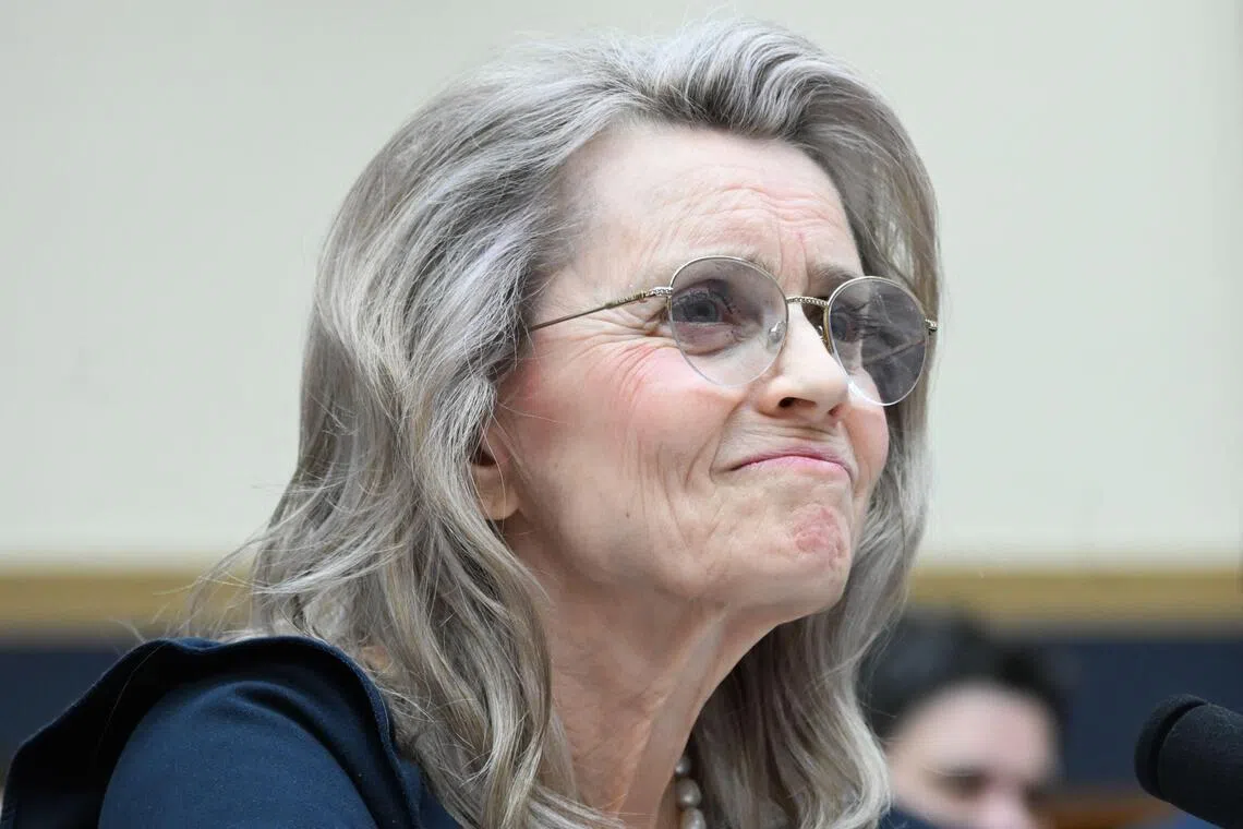 Paivi Rasanen wrote a pamphlet in 2004 in which she said same-sex relationships “challenge the Christian idea of humanity”.