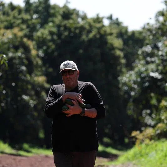 Israeli avocado farmer Ofer Moskovitz from the town of Misgav Am was killed by misfired artillery, the Israeli military said.