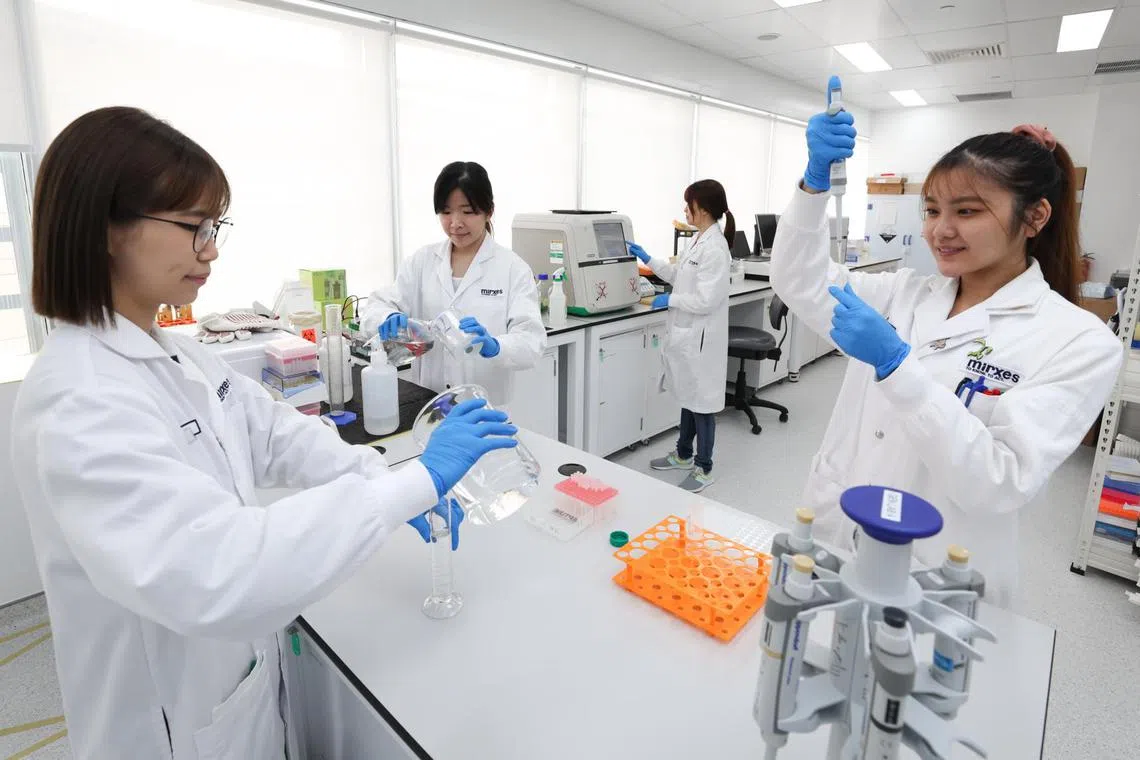 Mirxes said that it plans to double its headcount within the next three years, from 400 now to 800.