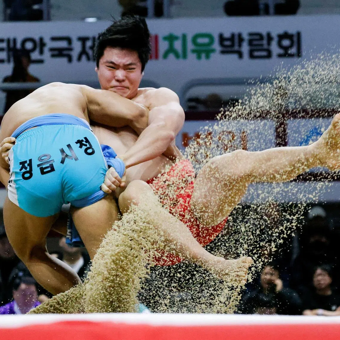 Ssireum wrestlers, athletes of Korea's traditional wrestling, compete during a Lunar New Year Ssireum championship at the Taean Complex Indoor Gymnasium in Taean, South Korea, February 14, 2026. REUTERS/Kim Soo-hyeon