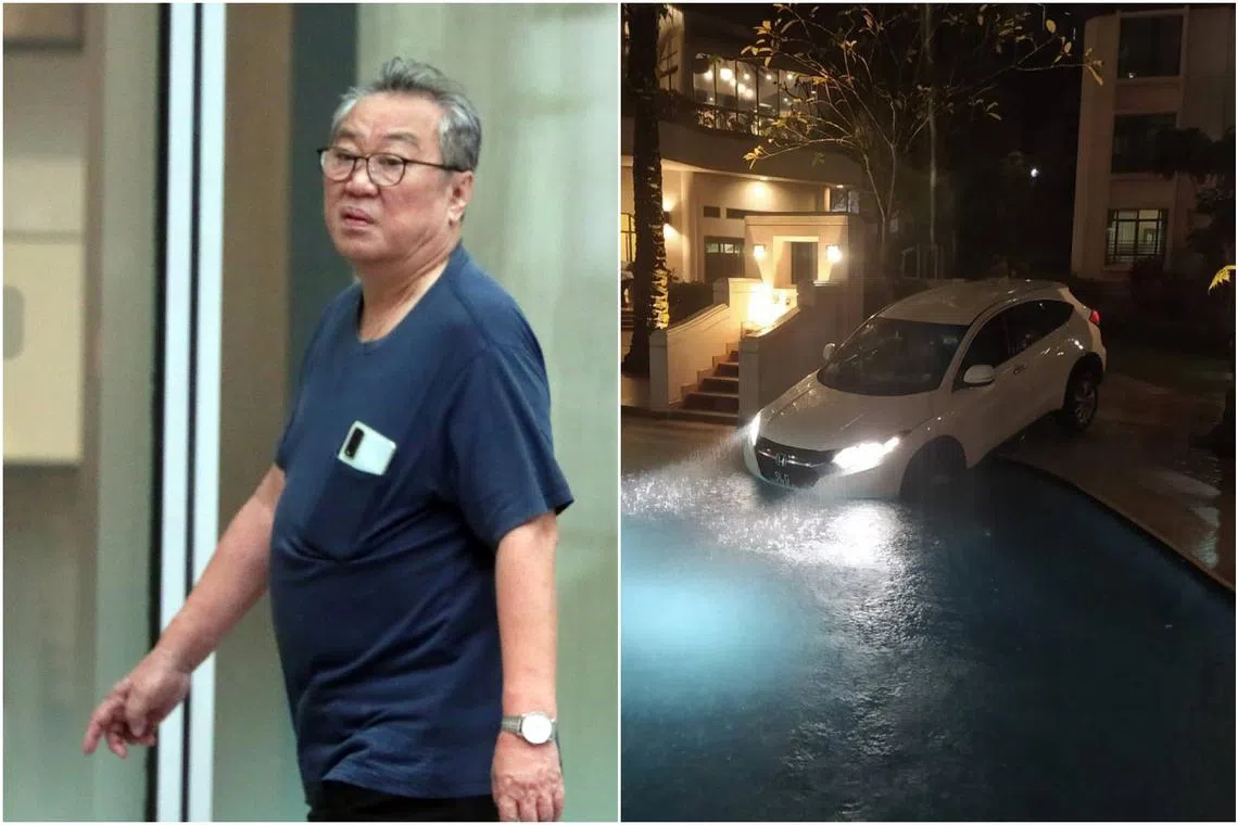 Chean Tuck Heng had driven his vehicle into the swimming pool of The Hillside Condominium at around 9pm on Feb 28.