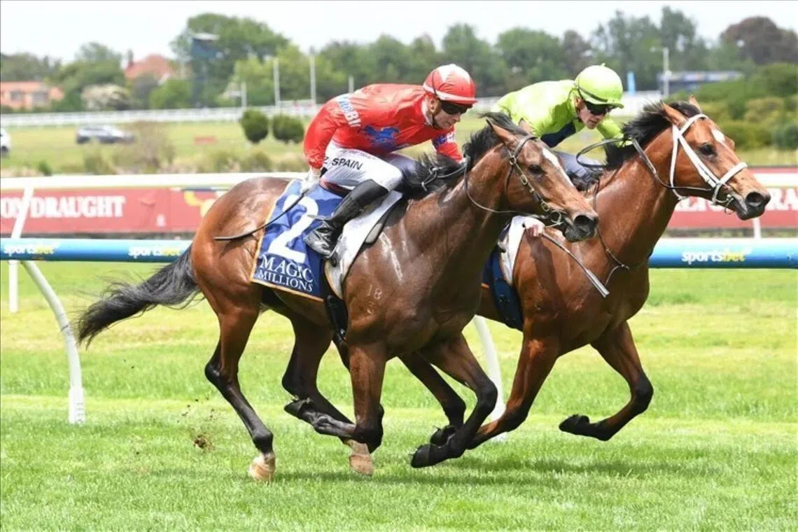 Eternal Warrior (Zac Spain) winning the Magic Millions Merson Cooper Stakes (1,000m) on debut at Caulfield. The 2YO by first season sire Extreme Warrior will be ridden by Damian Lane in the Group 1 Blue Diamond Stakes (1,200m) at Caulfield on Feb 21.
