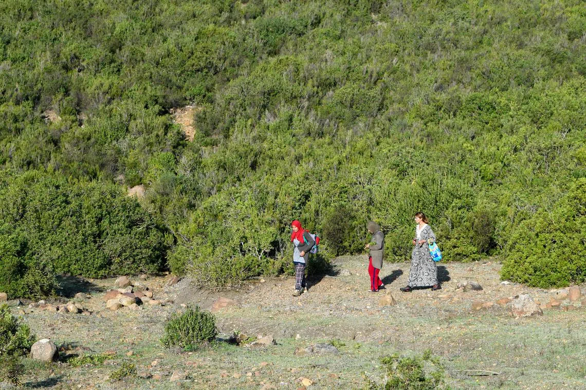 Greater female representation correlates with superior environmental performance – at the country, corporate and household level.