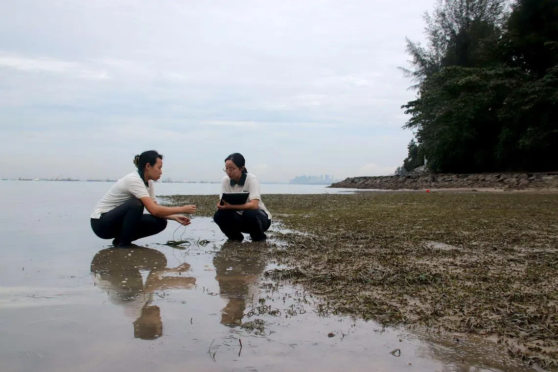 Science Talk: There is climate value in S-E Asia’s protected areas, but we’re failing to use it