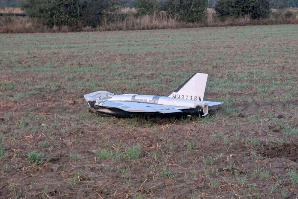 Poland shot down suspected Russian drones in its airspace early on Sept 10 with the backing of aircraft.