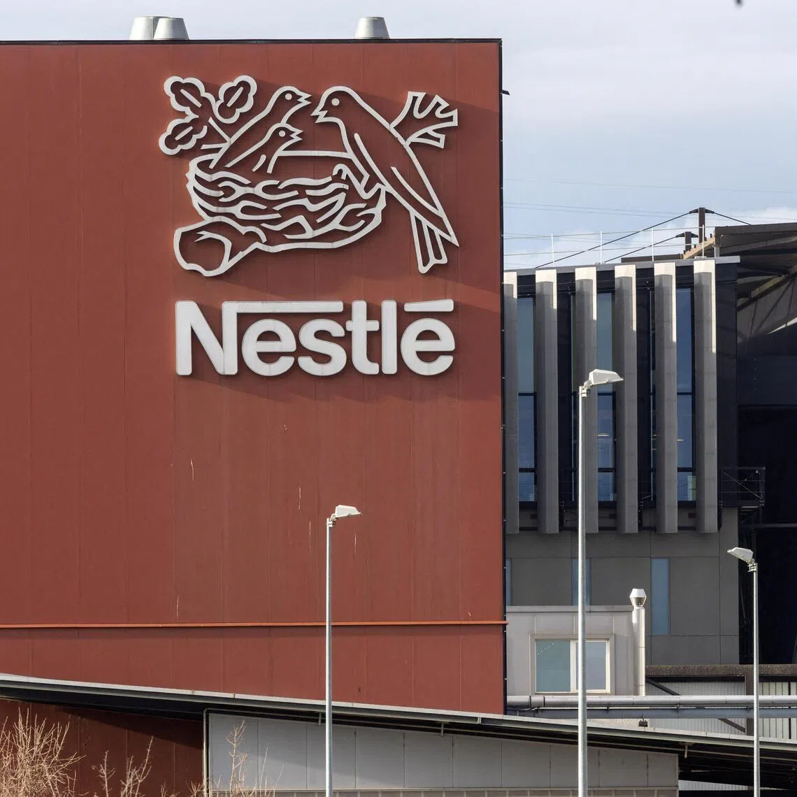Nestle has pulled products from shelves in more than 60 countries as a result of the tainted baby formula crisis.
