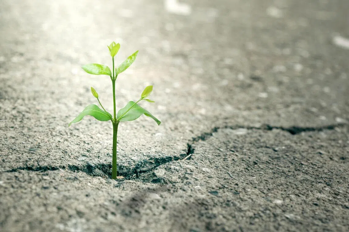 The meaning of life lies not in the endless pursuit of happiness, but in the contentment that comes from living a life that is useful to others, says the writer.