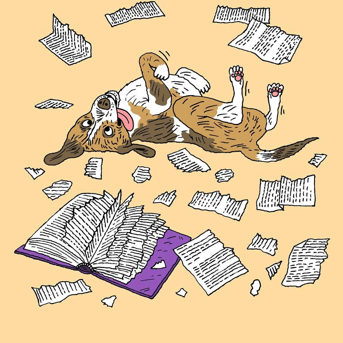 Your pet is probably not a genius, and that is okay. 