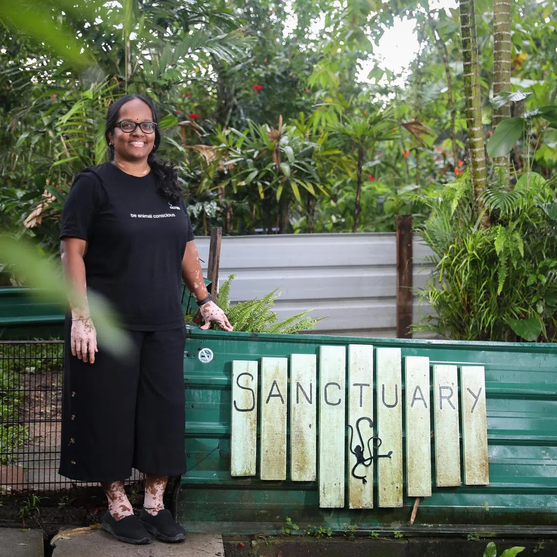 ST20250421_202526000416/hsanbu/Taryn Ng/Chin Hui Shan//

Acres co-chief executive Anbarasi Boopal, popularly known as Anbu, is leaving Acres after close to two decades. She is pictured at Acres Wildlife Rescue Centre on April 21, 2025. ST PHOTO: TARYN NG