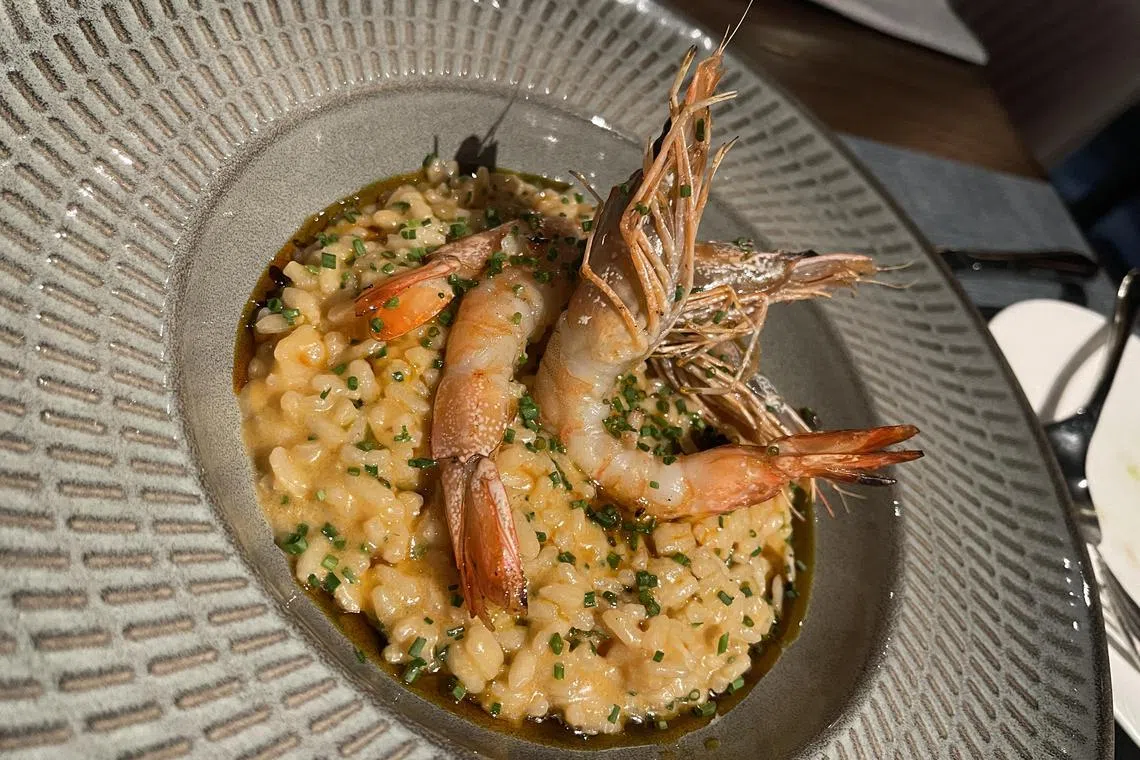 The Shellfish Risotto at Cenzo is cooked in an umami-packed seafood broth and the rice is perfectly al dente.