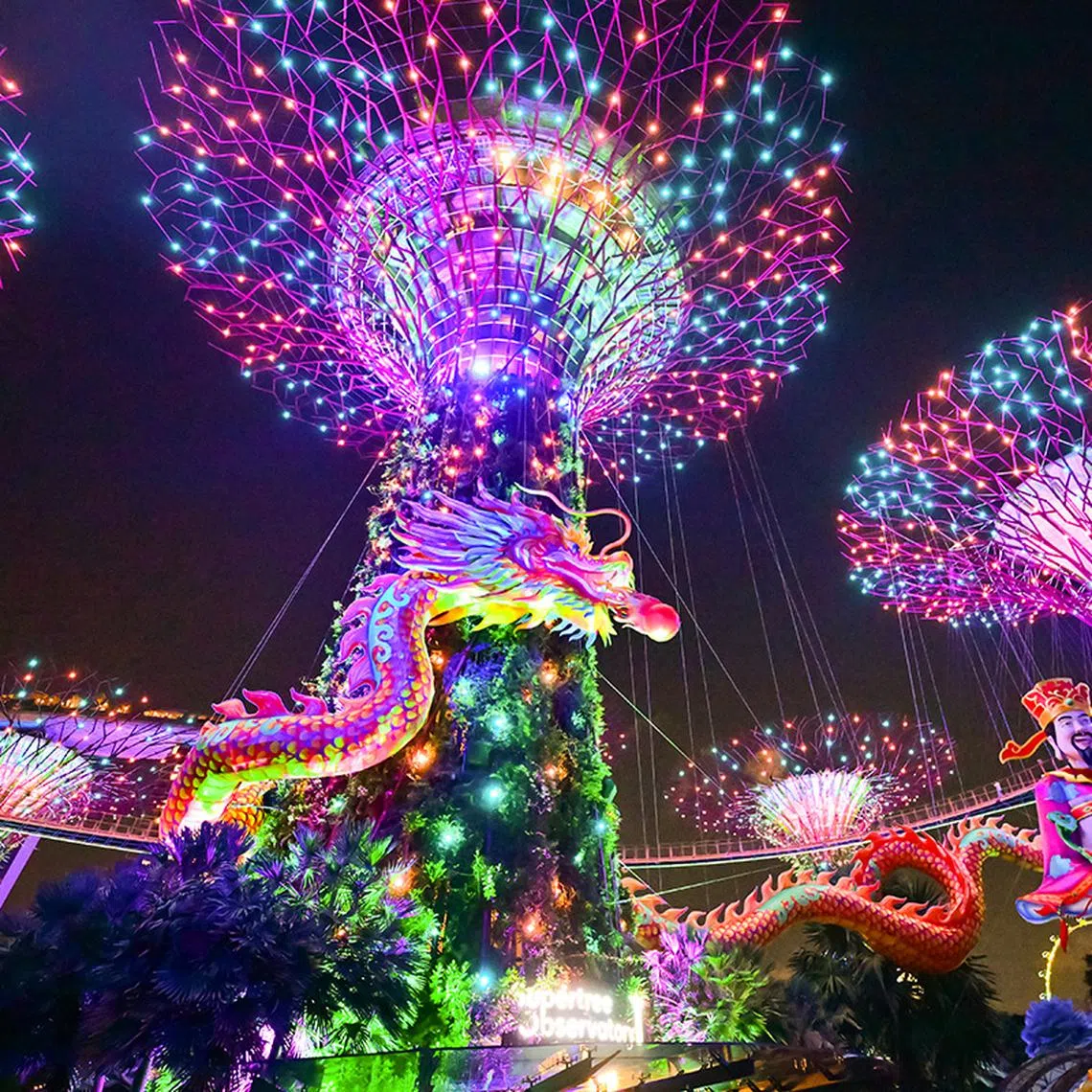 ST20240130-202478307635-Lim Yaohui-stpixdragon/ Nightly Garden Rhapsody show at Supertree Grove in Gardens by the Bay on Jan 30, 2024. 140m-long dragon lantern is suspended across two Supertrees, marking the Year of the Dragon at the River Hongbao, one of Singapore’s largest and longest-running Chinese New Year (CNY) celebrations. The dragon is suspended 5m above ground and displayed together with a 18m-tall God of Fortune. For HIF stpixdragon. (ST PHOTO: LIM YAOHUI)