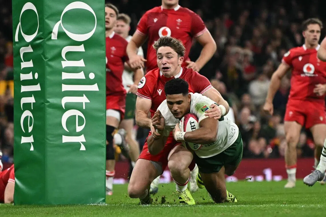 South Africa fly-half Sacha Feinberg-Mngomezulu diving over the line to score a try during the 73-0 Autumn Nations Series International rugby union Test match win over Wales at the Millennium Stadium in Cardiff on Nov 29, 2025.